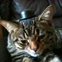 smilebig-lovebig avatar