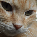 smilelikeacid avatar