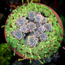 smilelovelife89 avatar