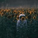 smilemysunflower-blog avatar