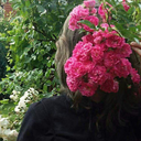 smileofshinigami avatar