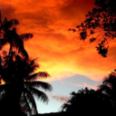 smilesandteardrop avatar