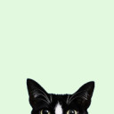 smilesonmyface avatar