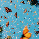 smileykiddo10 avatar