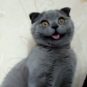 smileypantsstuff-blog avatar