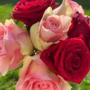 smilingcansave avatar