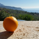 smilingmangr-blog avatar