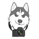 smirkdog-photography avatar