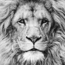 smoke-and-thunder avatar