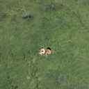 smoke-andbone avatar