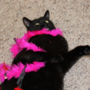 smokeablydank avatar