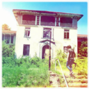 smokeadinosaur avatar