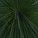 smokedsilhouettes avatar