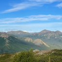 smokedtickler avatar