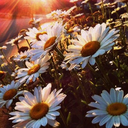 smokelikemarleylo0klikebarb-blog avatar