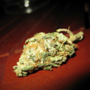 smoketillyouchoke avatar