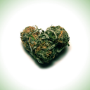 smokeweed-loveweed-blog avatar
