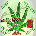 smokeweedandstayhigh avatar