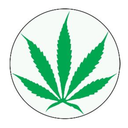 smokeweeedgethigh avatar