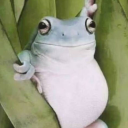 smokeydabear420422 avatar