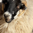 smoking-priestess avatar