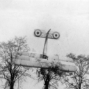 smokingonthefinest avatar