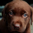 smokygalaxy-blog avatar