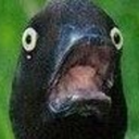 smokymcduckweed avatar