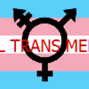 smol-trans-meetup avatar