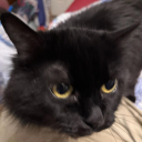 smolbunny-baby avatar