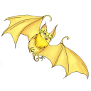 smolhoneybat avatar