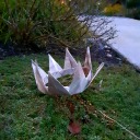 smolsnailhugs avatar