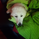 smoothiefetish avatar