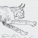 smoothlikearhapsody avatar