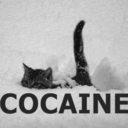 sn0wcaine-blog avatar