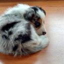 snacksaremyjam avatar