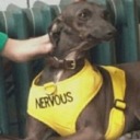 snail--patrol avatar