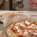 snail-on-boat avatar