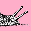 snailblood avatar
