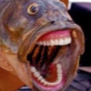 snailclippins avatar