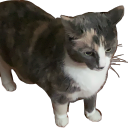 snailobituaries avatar