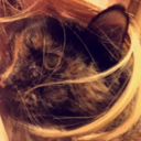 snailolympian avatar