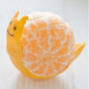 snailorange avatar