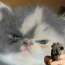 snails-warriors avatar