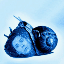 snailsandstrawberries avatar