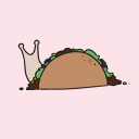 snailtaco avatar