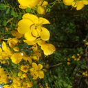 snakeboywasright avatar