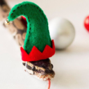 snakes-and-stuff avatar