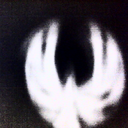 snakes-o-crows avatar