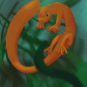 snakesandferns avatar